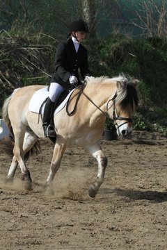 Bild 1258 - WBO-Turnier am 9.4.11